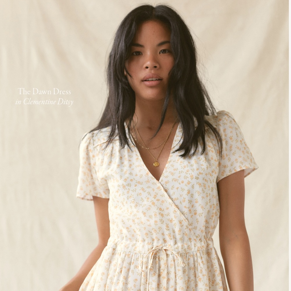 NWT Christy Dawn Dawn dress in clemintine ditsy. Large